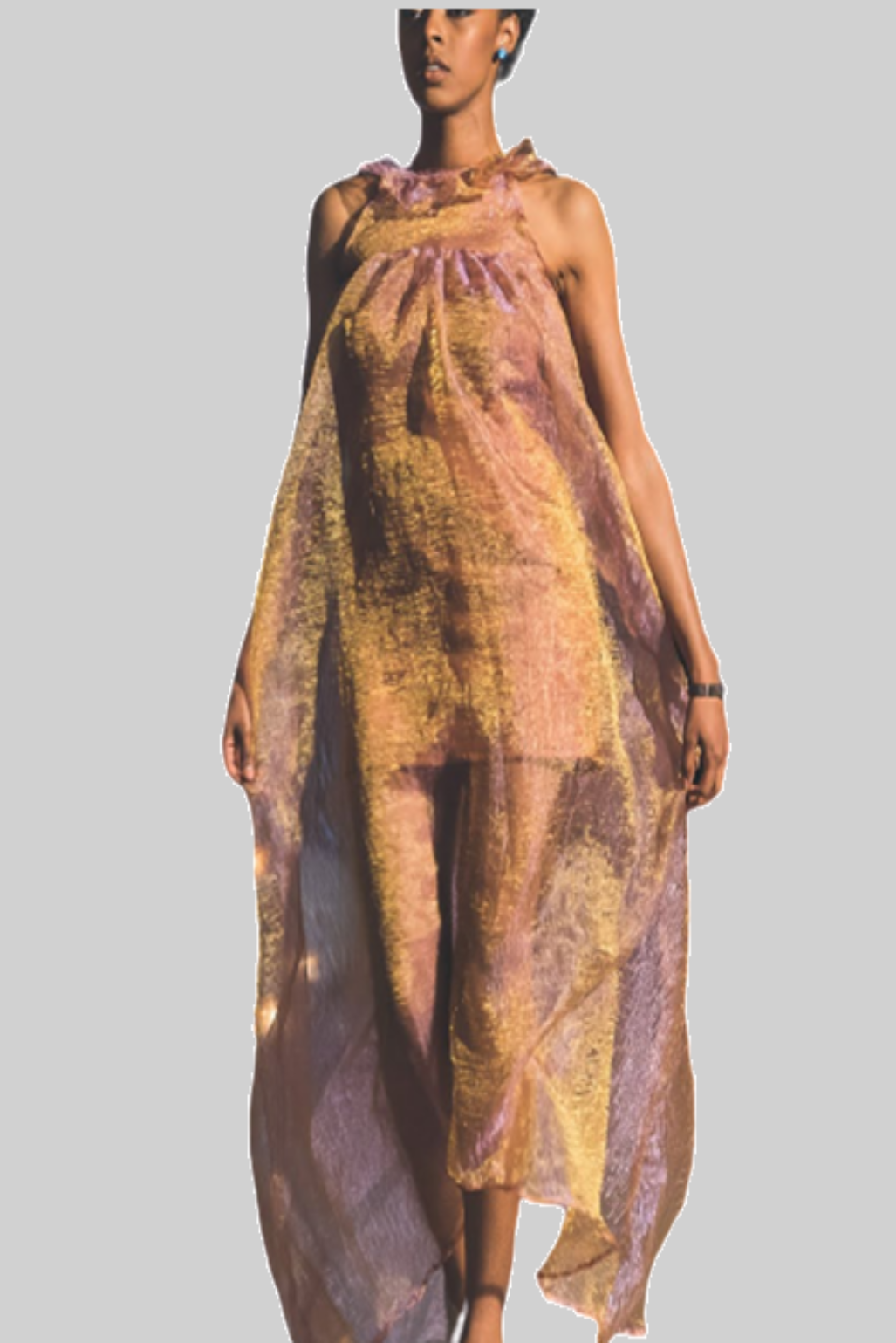 Golden Iridescent Organza Dress